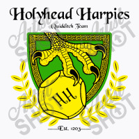 Holyhead Harpies T-shirt | Artistshot