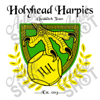 Holyhead Harpies V-neck Tee | Artistshot