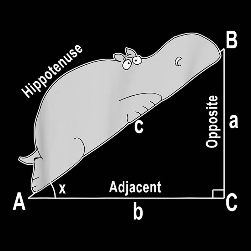 Hippo Math Analytical Funny Sarcasm Humor Teacher T Shirt Toddler 3/4 Sleeve Tee by aryanahjerich | Artistshot