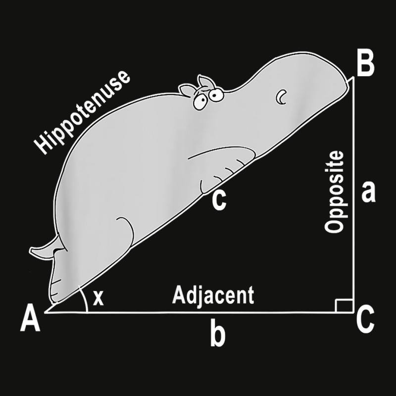 Hippo Math Analytical Funny Sarcasm Humor Teacher T Shirt Scorecard Crop Tee by aryanahjerich | Artistshot