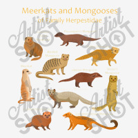 Meerkat And Mongoose Species Premium Toddler Hoodie | Artistshot