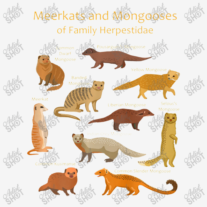 Meerkat And Mongoose Species Premium Toddler Hoodie by celanasubek | Artistshot