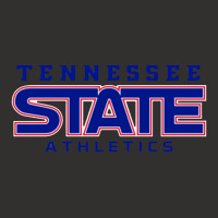 Tennessee State Tigers Champion Hoodie | Artistshot