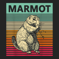 Retro Marmot Vintage Marmot T Shirt 3/4 Sleeve Shirt | Artistshot