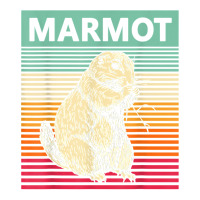 Retro Marmot Vintage Marmot T Shirt Crop Top | Artistshot