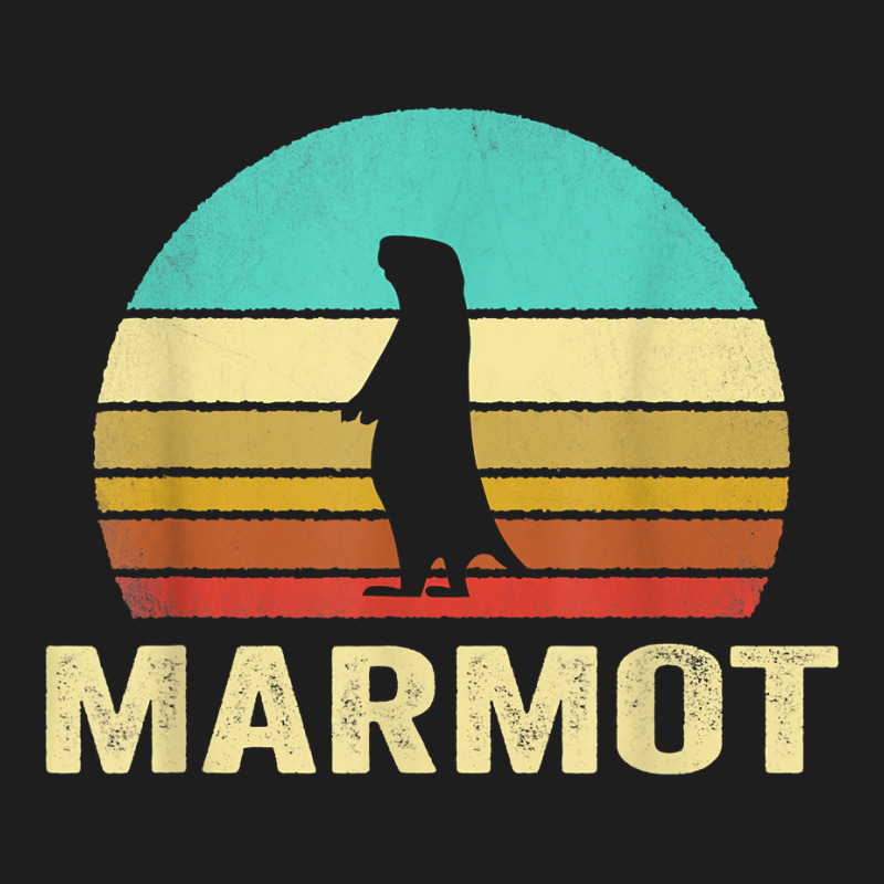 Vintage Marmot Shirt Sunset Classic T-shirt by kadrienstang | Artistshot