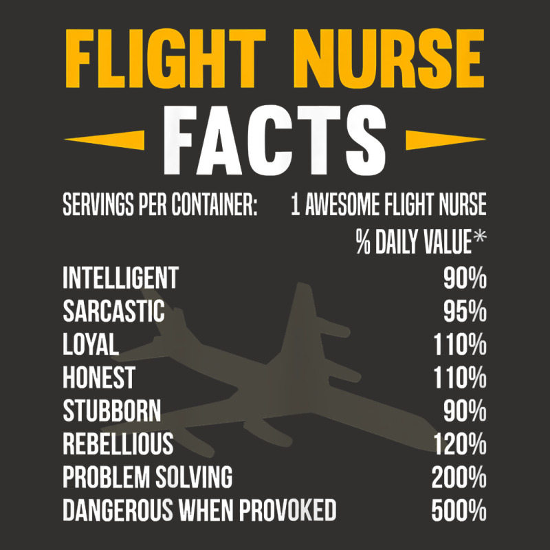 Womens Flight Nurse Facts T Shirt Champion Hoodie | Artistshot