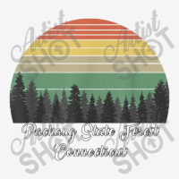 Pachaug State Forest Classic T-shirt | Artistshot