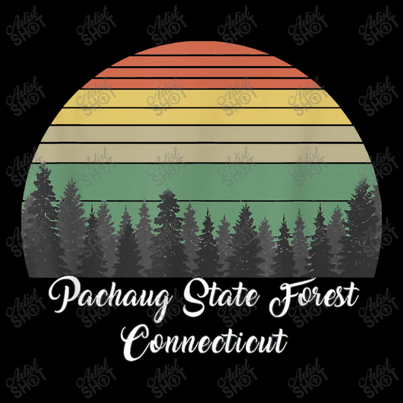 Pachaug State Forest Lightweight Hoodie by celanasubek | Artistshot