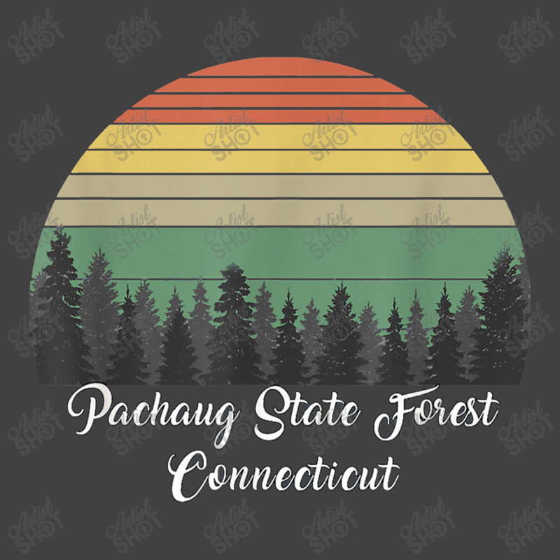 Pachaug State Forest Vintage T-Shirt by celanasubek | Artistshot