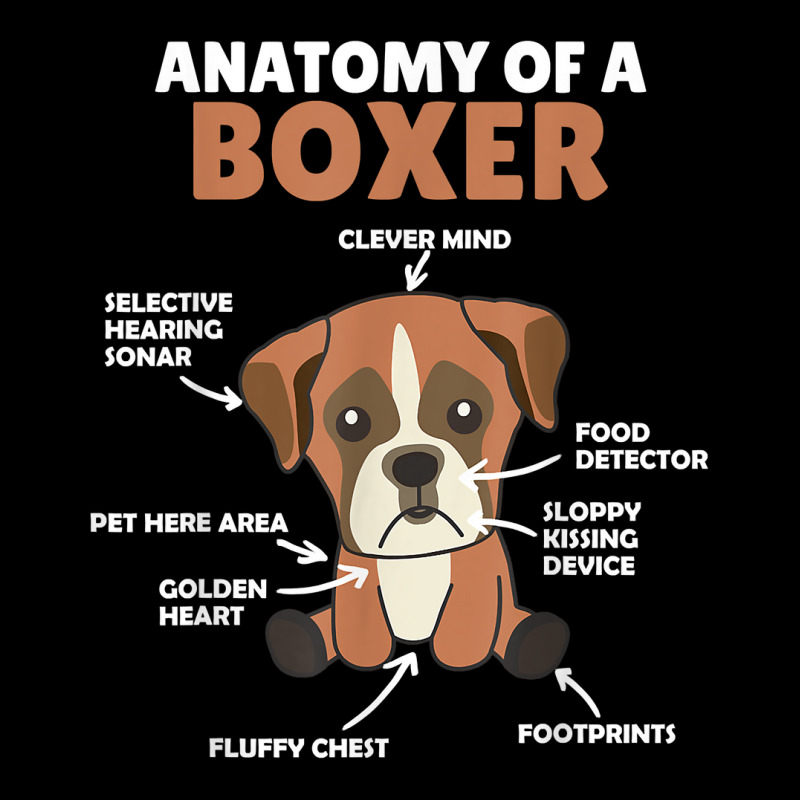 Anatomy Of A Boxer Cute Dogs Funny Dog Boxer T Shirt Men's 3/4 Sleeve Pajama Set | Artistshot