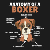 Anatomy Of A Boxer Cute Dogs Funny Dog Boxer T Shirt Hoodie & Jogger Set | Artistshot