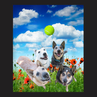 Blue Red White Heeler Cattle Dogs Playing Ball T Shirt T-shirt | Artistshot