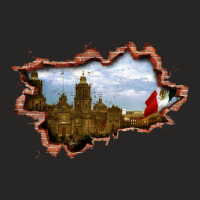 Mexico Inside Wall Ladies Fitted T-shirt | Artistshot