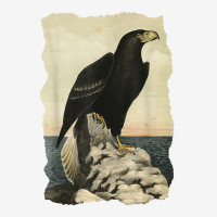 Northen Steller's Sea Eagle   Bird Of Prey   Raptor Seascape T Shirt Adjustable Cap | Artistshot