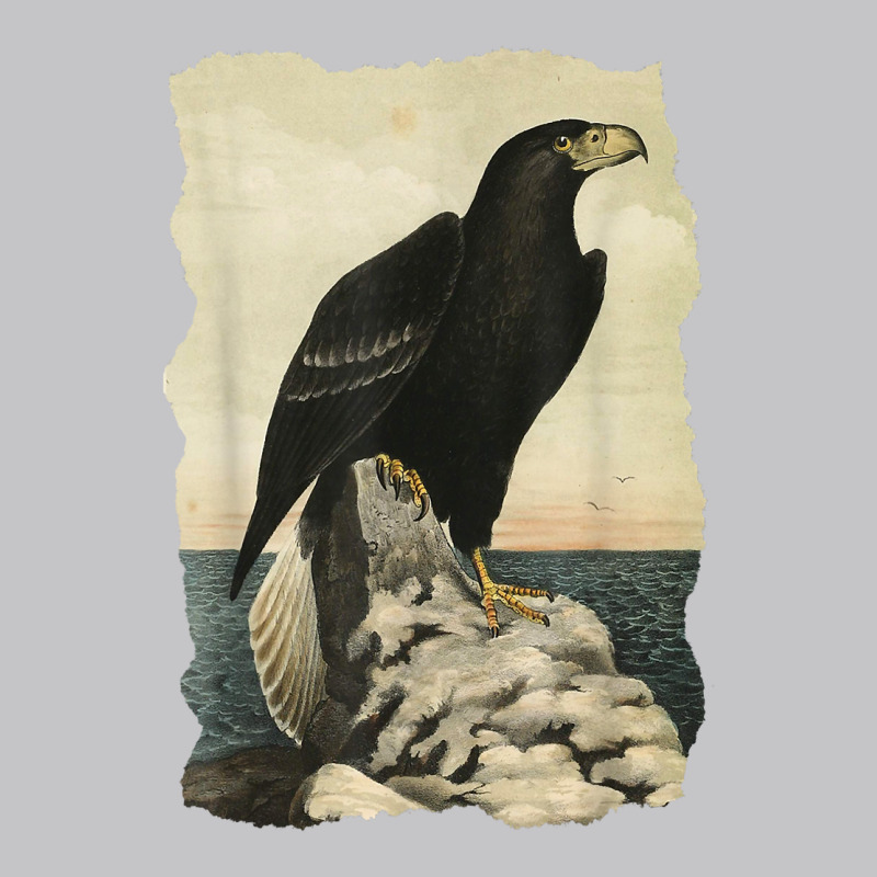 Northen Steller's Sea Eagle   Bird Of Prey   Raptor Seascape T Shirt Baby Bodysuit by bhuvanseeliger | Artistshot