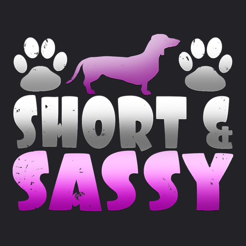 Cute Short And Sassy Wiener Dog Short Legged Hound T Youth Tee | Artistshot