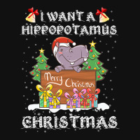 Hippopotamus I Want A Hippopotamus For Christmas Xmas Hippo 378 Hippo Skinny Tumbler | Artistshot