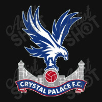 #crystal 'palace Fc Baby Bibs | Artistshot