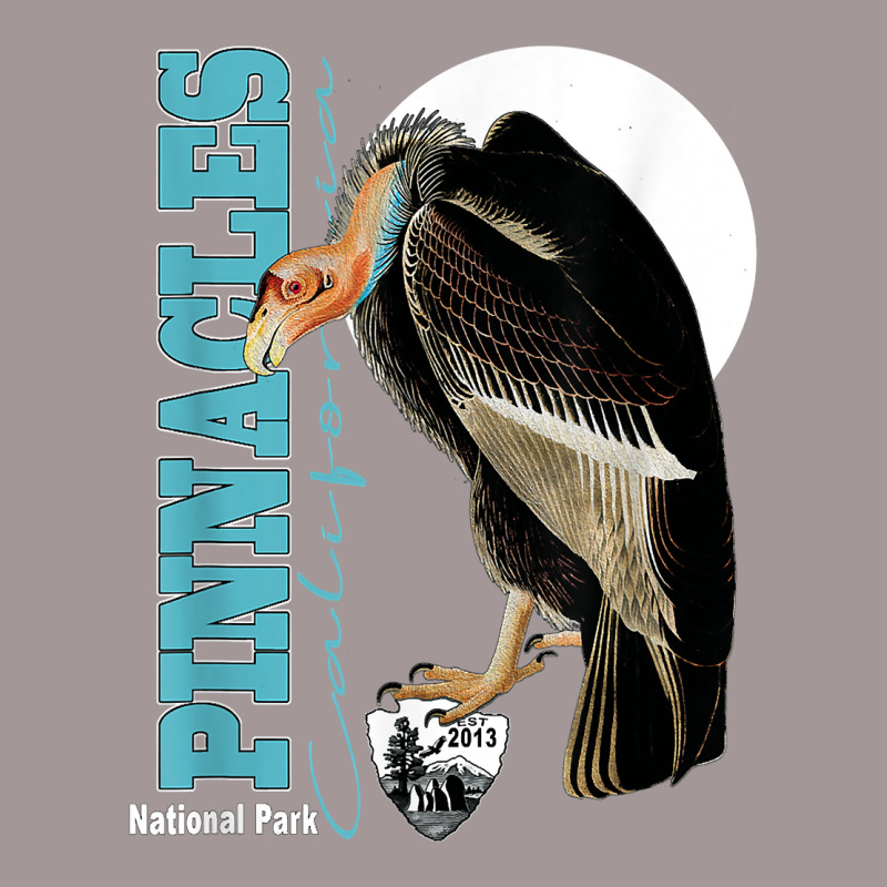 Pinnacles National Park California Condors Souvenir Est 2013 T Shirt Vintage Hoodie by juleakuehneman | Artistshot