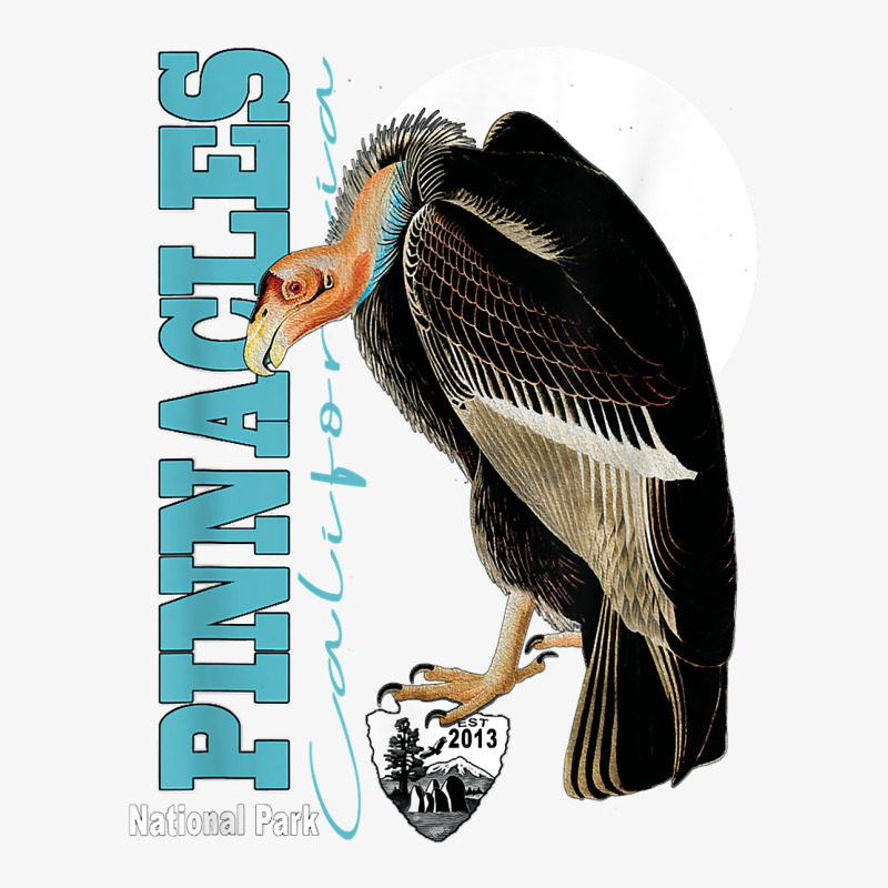 Pinnacles National Park California Condors Souvenir Est 2013 T Shirt Champion Hoodie by juleakuehneman | Artistshot