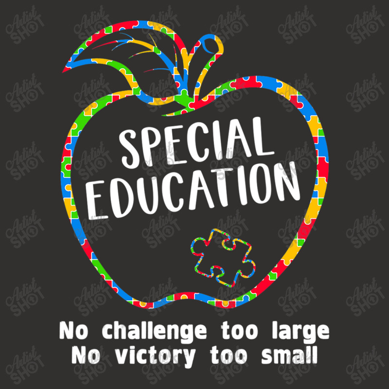 Autism Special Education Teacher Girl Champion Hoodie by mrlee | Artistshot