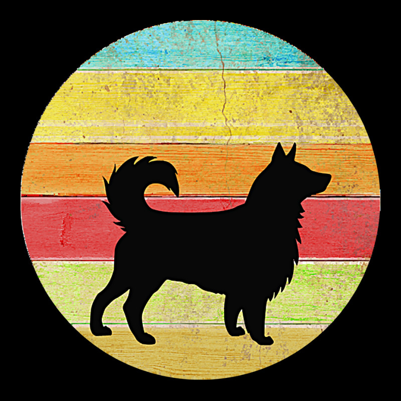 Border Collie Vintage T  Shirt Border Collie Vintage Rainbow Silhouett Legging by theaney | Artistshot