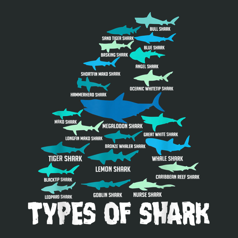 Types Of Shark Megalodon Great White Nurse Shark Men Women T Shirt Women's Triblend Scoop T-shirt by maionexzweddel1i | Artistshot