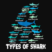 Types Of Shark Megalodon Great White Nurse Shark Men Women T Shirt Crop Top | Artistshot