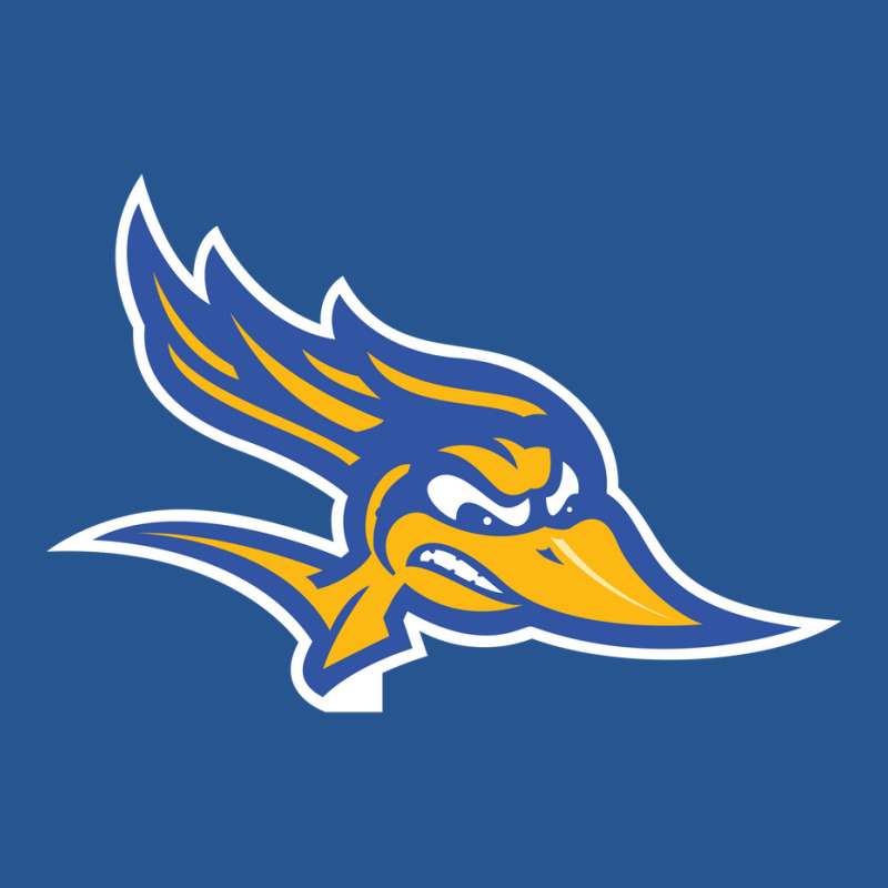 Cal State Bakersfield Roadrunners Ladies Fitted T-Shirt by Julien | Artistshot