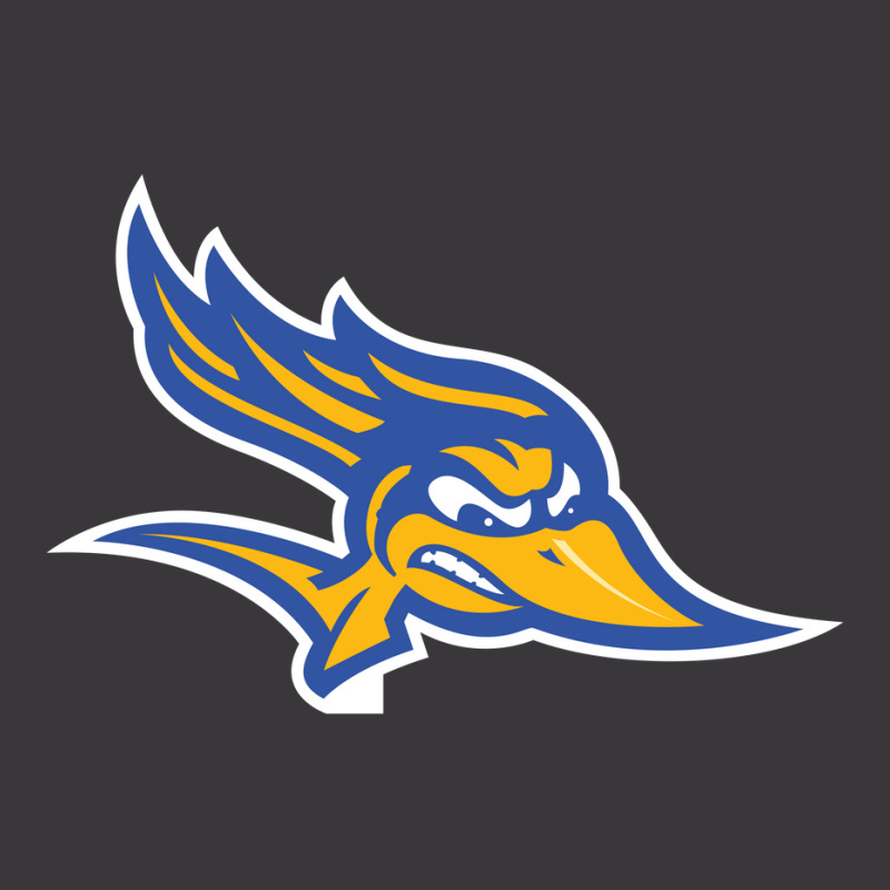 Cal State Bakersfield Roadrunners Ladies Curvy T-Shirt by Julien | Artistshot