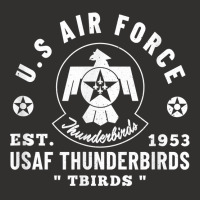 Usaf Thunderbirds Us Air Force Tbirds Veterans Vintage T Shirt Champion Hoodie | Artistshot