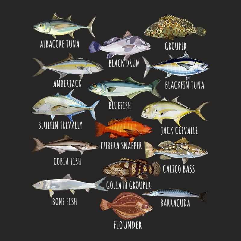 Fish Species Biology Types Of Saltwater Fish Fishing T Shirt Ladies Fitted T-Shirt by hutchisongruda | Artistshot