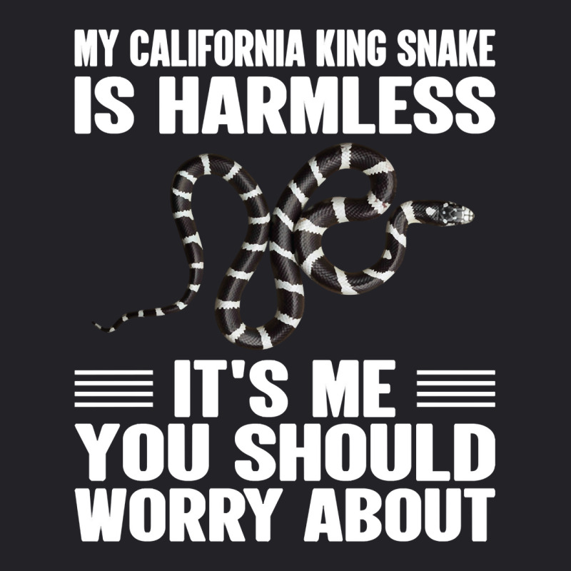 Its Me You Should Worry About   California King Snake Pullover Hoodie Youth Tee | Artistshot