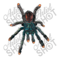 Pink Toe Tarantula Long Sleeve Shirts | Artistshot