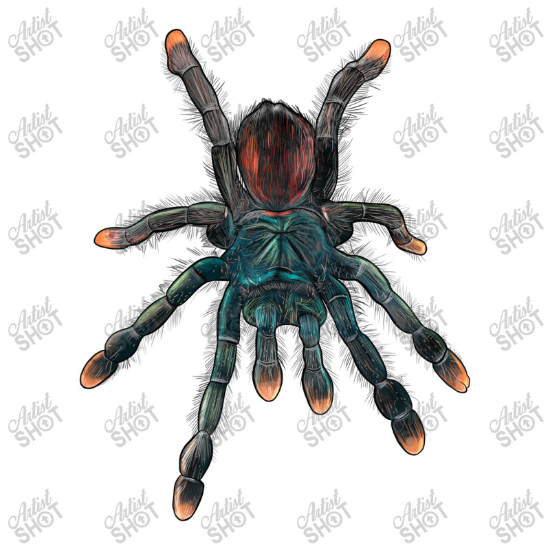 Pink Toe Tarantula Long Sleeve Shirts by LillyAllenDesigns | Artistshot