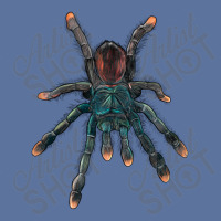 Pink Toe Tarantula Lightweight Hoodie | Artistshot