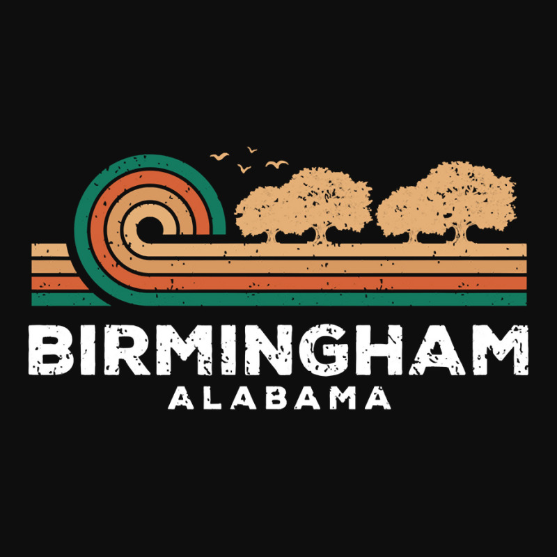 Vintage Birmingham Sunset Alabama Souvenir Long Sleeve T Shirt Crop Top by paisleafuscaldo | Artistshot