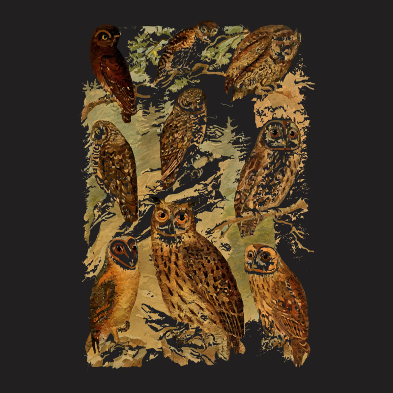 Birds Of Prey T  Shirt Many Different Owls! T  Shirt T-shirt | Artistshot