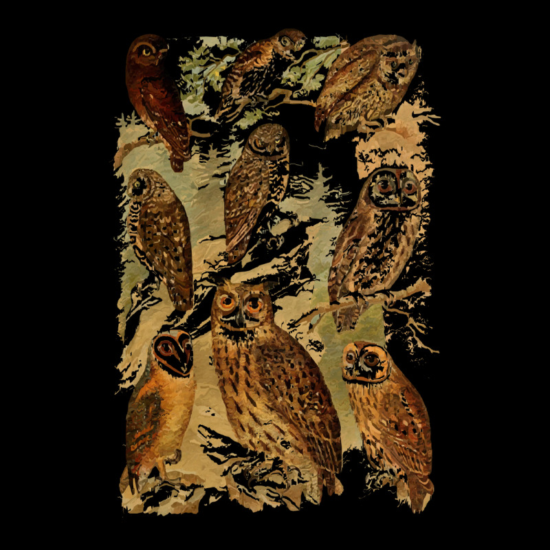 Birds Of Prey T  Shirt Many Different Owls! T  Shirt Men's 3/4 Sleeve Pajama Set | Artistshot