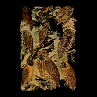 Birds Of Prey T  Shirt Many Different Owls! T  Shirt Long Sleeve Shirts | Artistshot