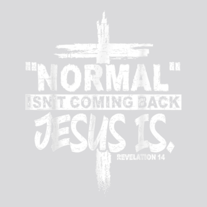 Normal Isn't Coming Back But Jesus Is Revelation 14 Costume T Shirt Women's Triblend Scoop T-shirt by NatalieRoseHeinz | Artistshot