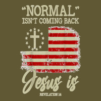 Normal Isn't Coming Back But Jesus Is Revelation 14 Costume T Shirt Vintage Short | Artistshot