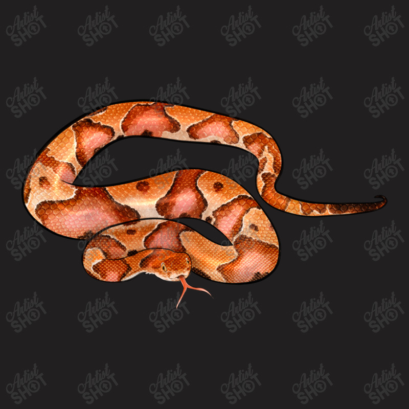 Copperhead Snake Illustrations T-shirt | Artistshot