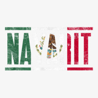 Nayarit Con La Bandera De México T Shirt Ladies Fitted T-shirt | Artistshot