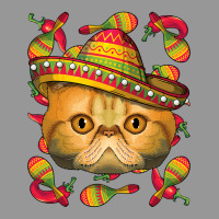 Cinco De Mayo Exotic Shorthair Sombrero Mexican Cat Fiesta T Shirt Women's V-neck T-shirt | Artistshot