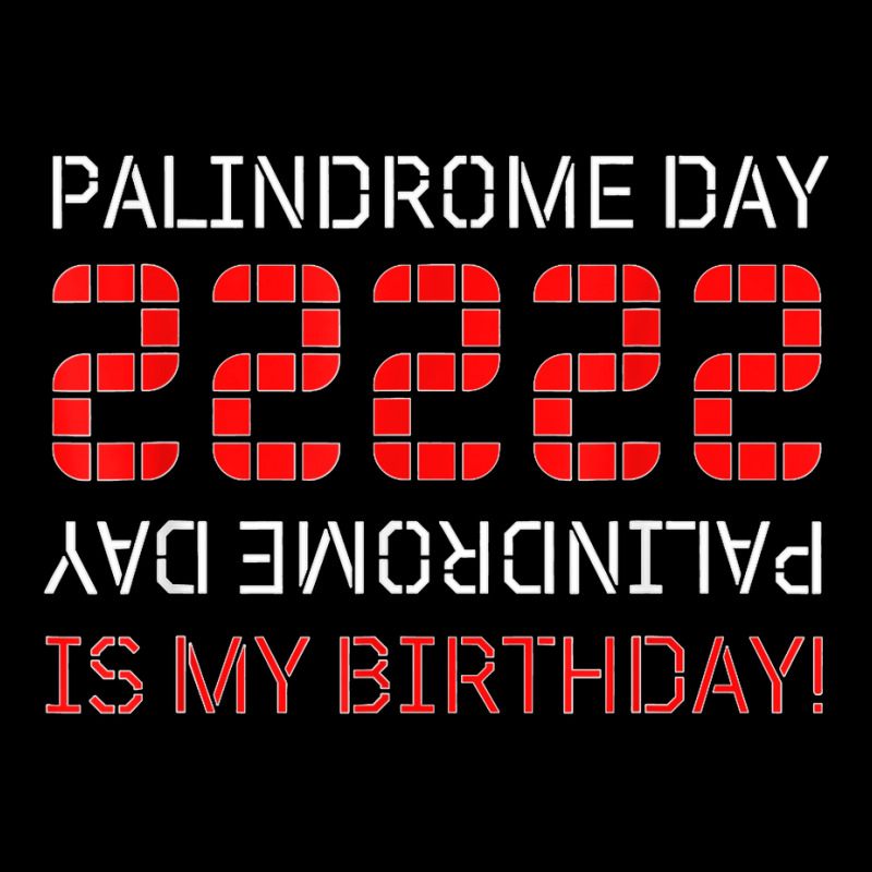 Palindrome Day 22222 Is My Birthday February 22 2022 Twosday T Shirt Lightweight Hoodie | Artistshot