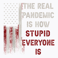 The Real Pandemic Is How Stupid Everyone Is 1776 Vintage T Shirt T-shirt | Artistshot