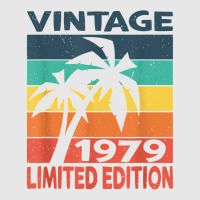 Vintage 1979 Limited Edition Birthday T Shirt Hoodie & Jogger Set | Artistshot