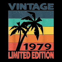 Vintage 1979 Limited Edition Birthday T Shirt Fleece Short | Artistshot